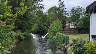 Blick von der Tandlerschlucht in Richtung Wellenbad - die gemähte Wiese gehört zum Grundstück Bräuhausstraße 12 (Foto: Unser Würmtal)