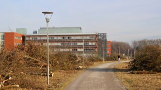 "Wir arbeiten streng nach naturschutzfachlichen Vorgaben", erklärte Dimitri Steinke (Foto: Ulrike Seifert/Unser Würmtal)