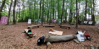 Ein Waldklassenzimmer in einem Schulwald in Rahmen des Klimabildungsprojektes der Schutzgemeinschaft Deutscher Wald, Landesverband Bayern e. V. (Foto: Schutzgemeinschaft Deutscher Wald)