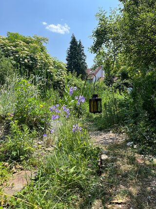 Naturnaher Garten im Landkreis München