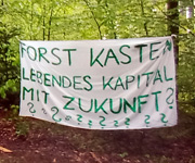 Zum Artikel: Polizei räumt erneut Plattformen auf Bäumen in Forst Kasten