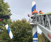 Neurieder Maibaum umgeschnitten