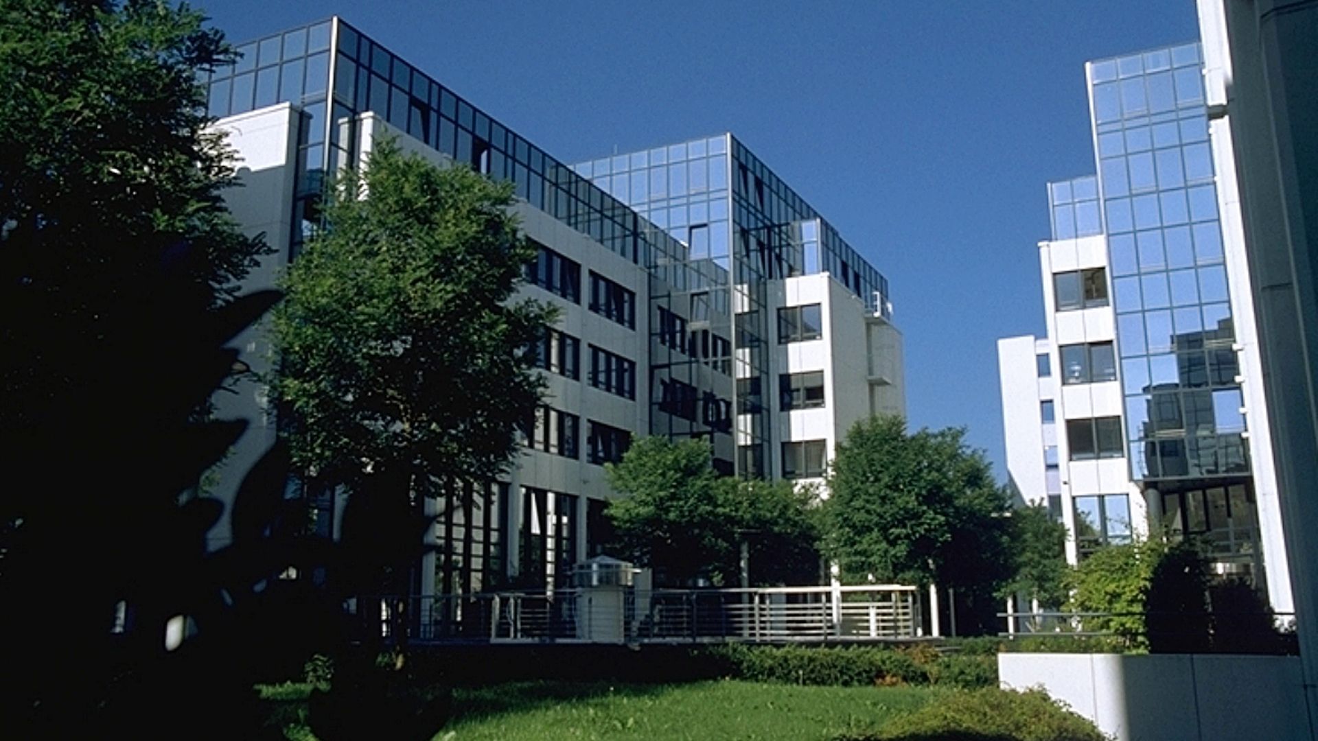 Medigene AG Martinsried