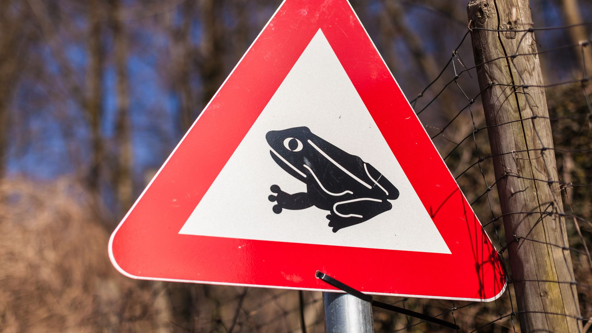 An vielen Wegen und Straßen weisen spezielle Schilder im Frühling auf die Krötenwanderungen hin.