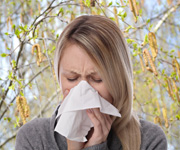 Die Birkenpollen fliegen wieder