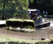 Zum Artikel: Berger Weiher gemäht