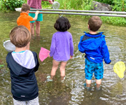 Zum Artikel: Kinder entdecken Geheimnisse der Würm