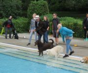 Zum Artikel: Das Sommerbad ist auf den Hund gekommen