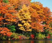 Zum Artikel: Darum ist das Würmtal im Herbst so farbenfroh