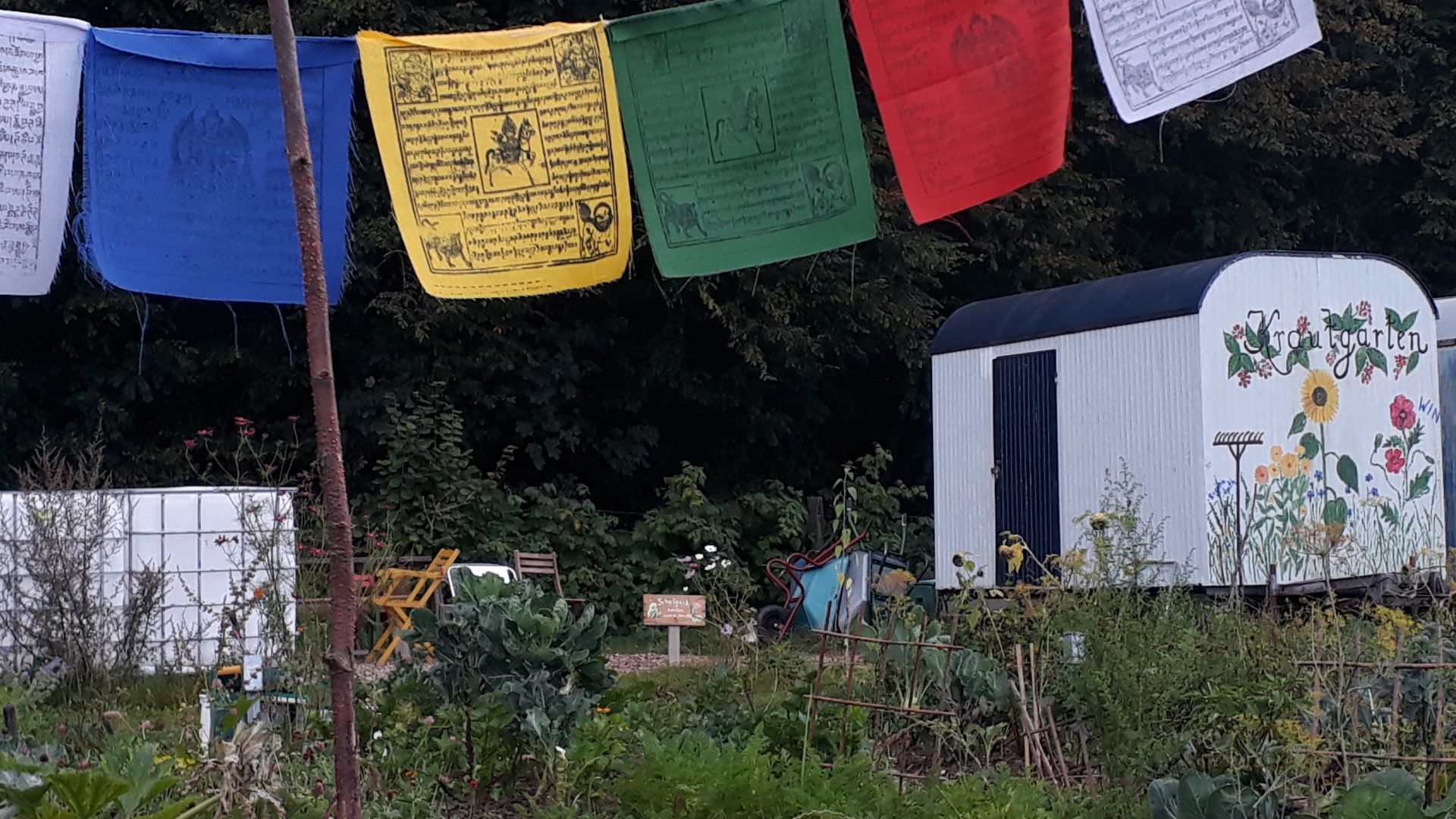 Auch 2022 wird der Krautgarten Neuried wieder erblühen. Noch können neue Pächter aufgenommen werden.  (Foto: Wir - in - Neuried e.V.)