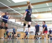 Zum Artikel: TSV Neuried  - Auftakt Volleyballsaison