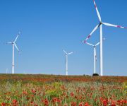 Zum Artikel: UPDATE: Bürgerinitiative fordert Stopp der Windkraftplanungen
