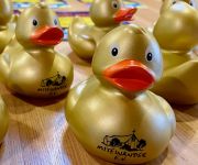 Zum Artikel: Die Enten sind da!