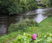 Zum Artikel: Badegewässer-Qualität im Landkreis Starnberg