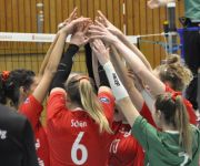 Zum Artikel: Volleyballerinnen des TVPK setzen sich erneut durch