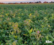 Zum Artikel: Projekt für regenerative Landwirtschaft