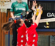 Zum Artikel: Volleyballerinnen des TV Planegg-Krailling seit 11 Spieltagen auf Platz 1