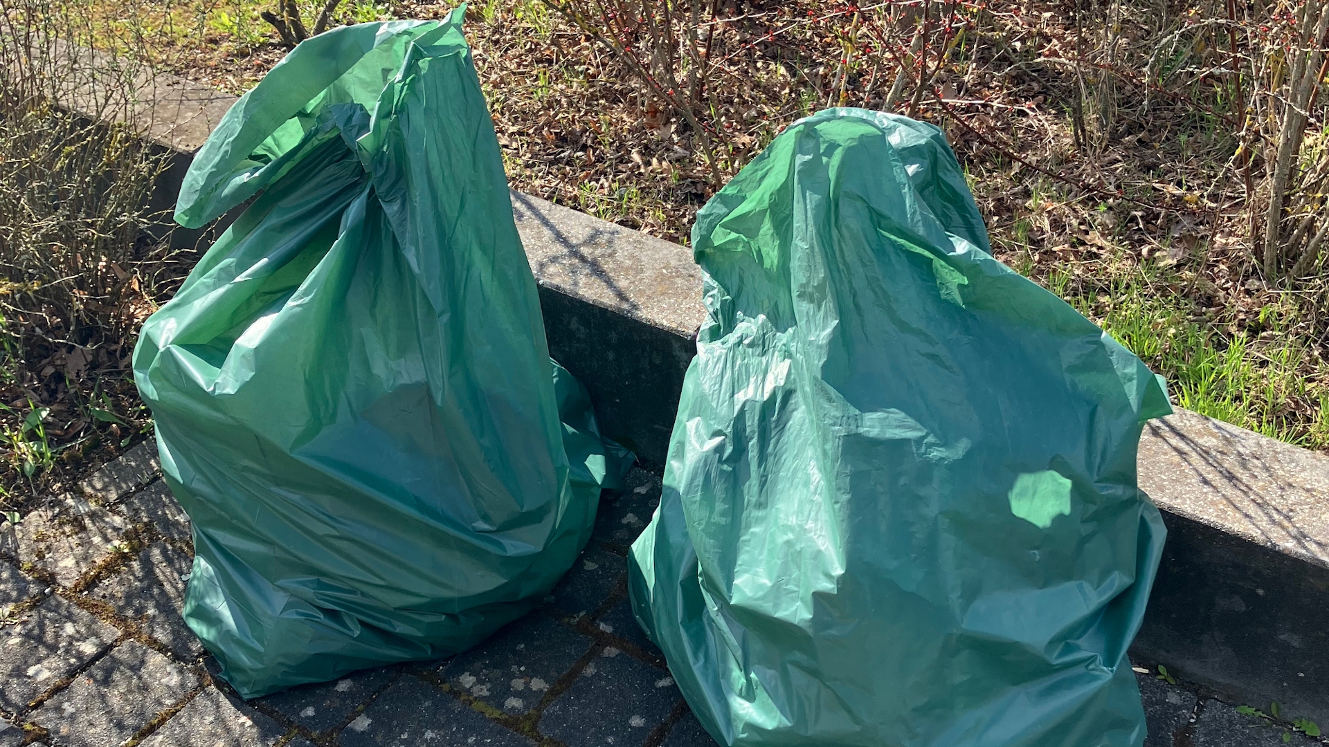 Es kamm allerhand zusammen - in den Beuteln verpackt sieht das ganz harmlos aus (Foto: Jugendhaus Neuried)
