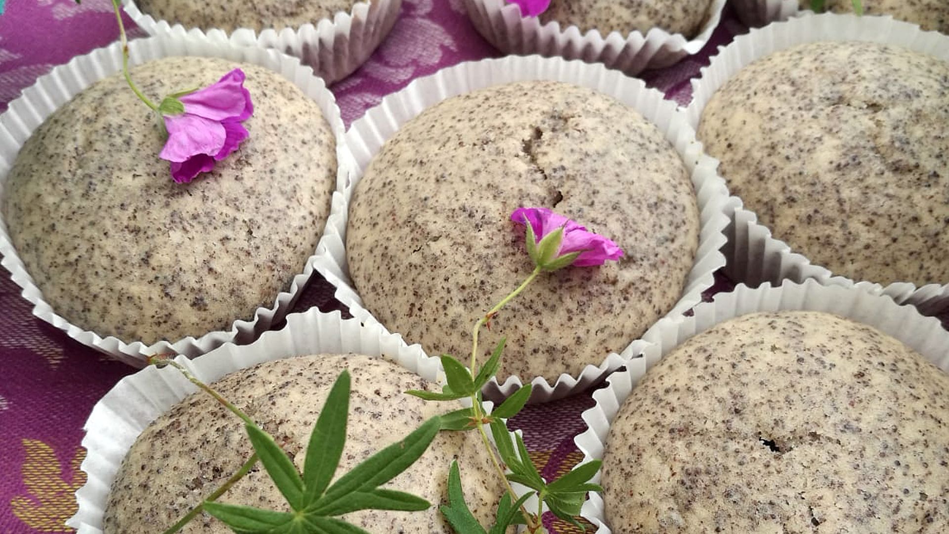 Mohn-Muffins